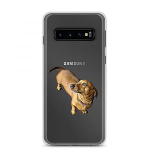Samsung Case